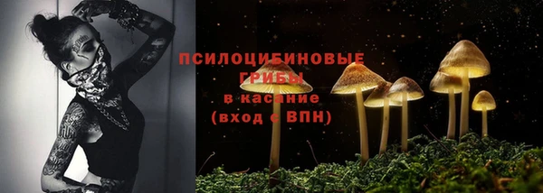 шишки Верхний Тагил