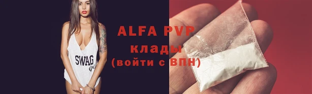 шишки Верхний Тагил