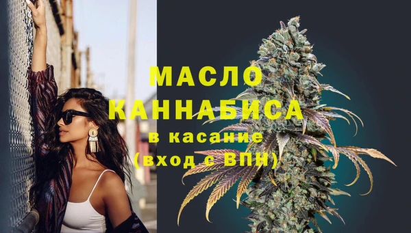 шишки Верхний Тагил