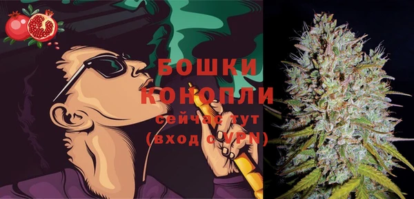 шишки Верхний Тагил