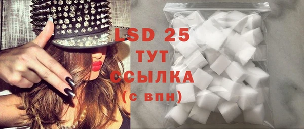 шишки Верхний Тагил