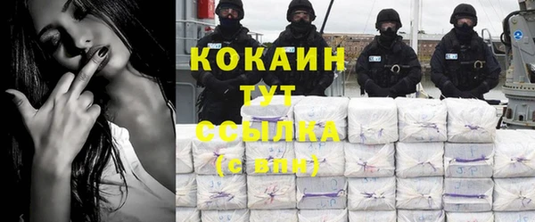 шишки Верхний Тагил